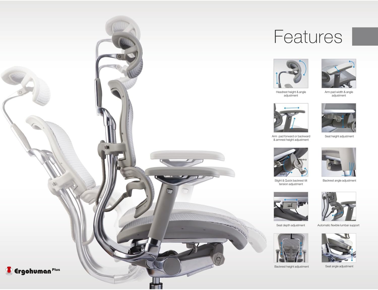 Ergohuman Executive Chairs (with Grey Frame.yellow Leather)