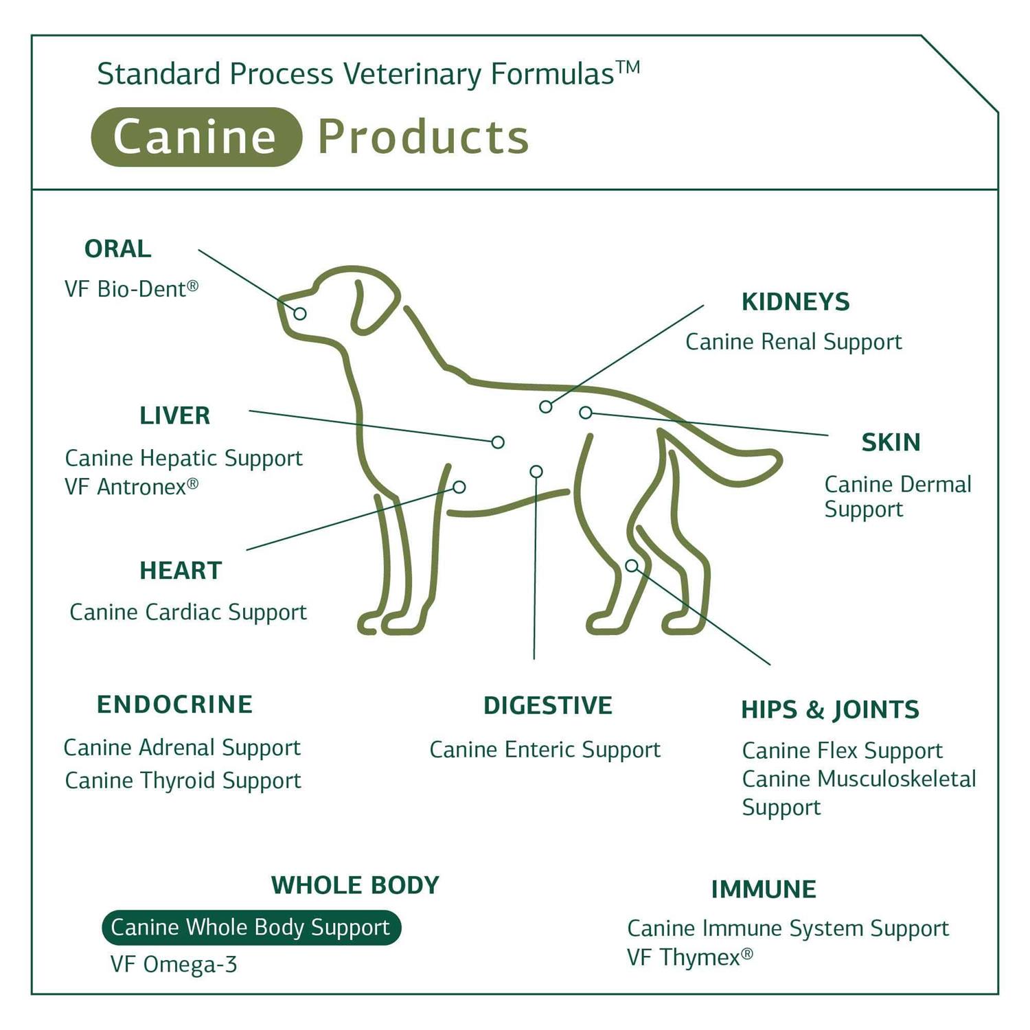 Standard Process Canine Whole Body Support - Pet Supplies online store