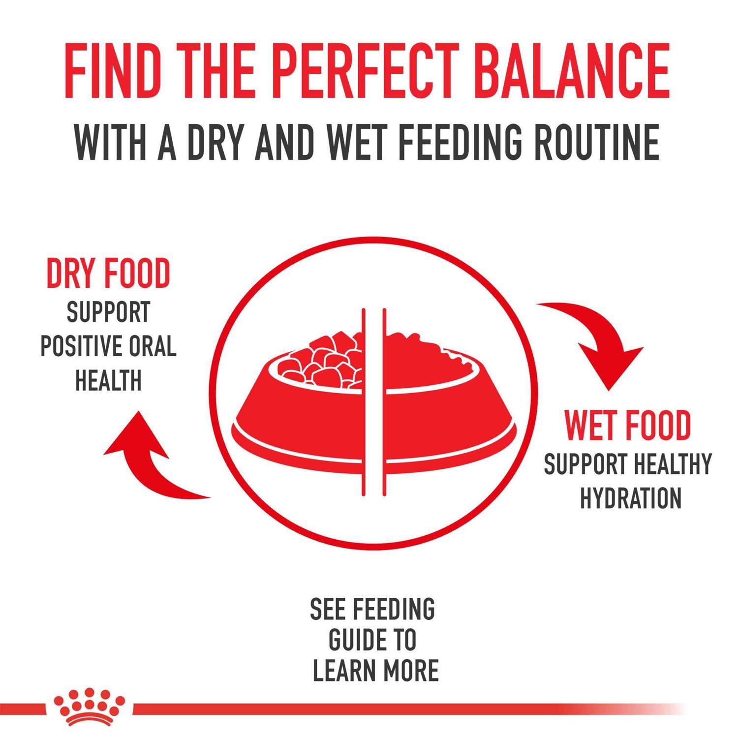 Royal Canin Breed Health Nutrition Yorkshire Terrier Adult Wet Dog Food – - Pet Supplies online store