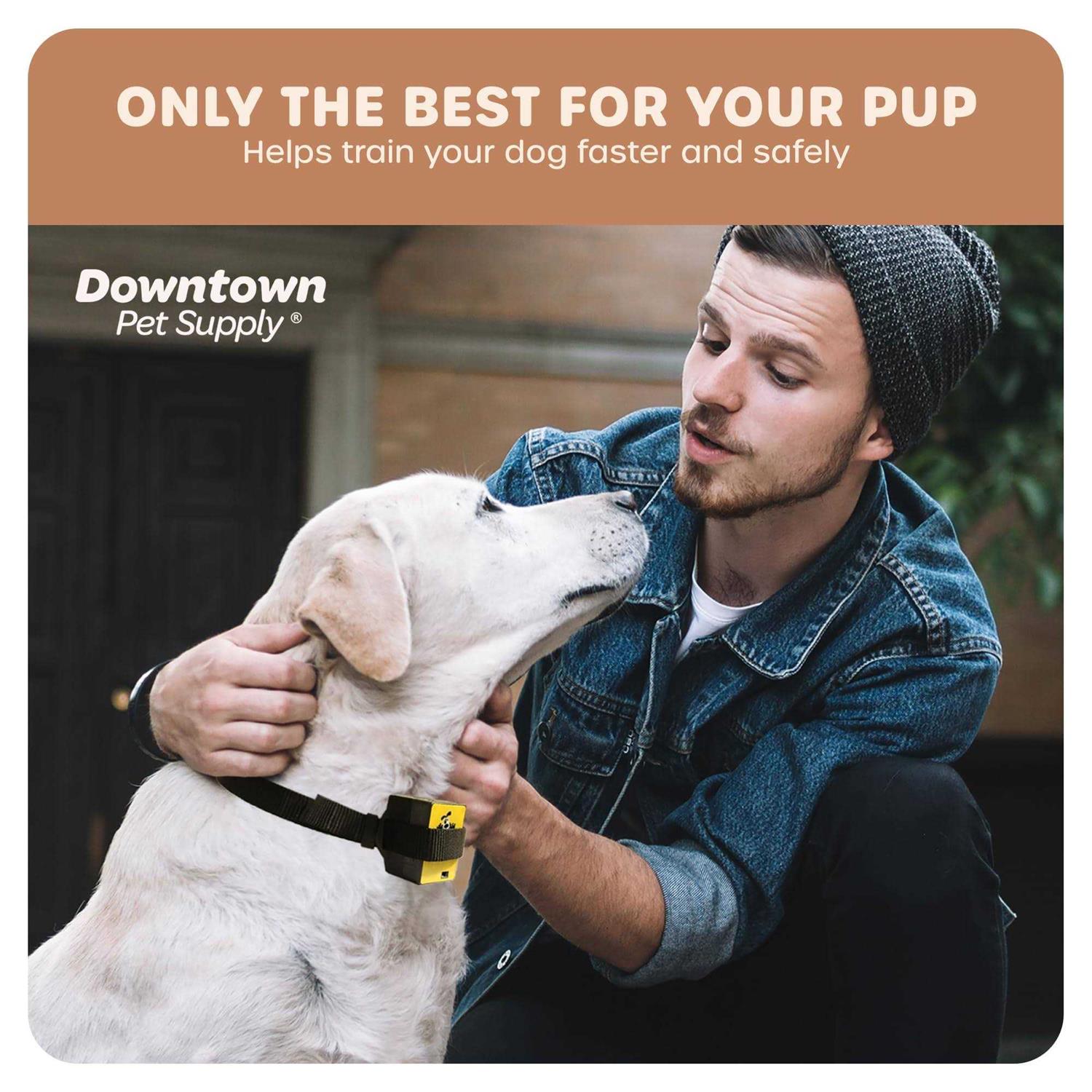 Downtown Pet Supply Citronella Bark Collar - Pet Supplies online store