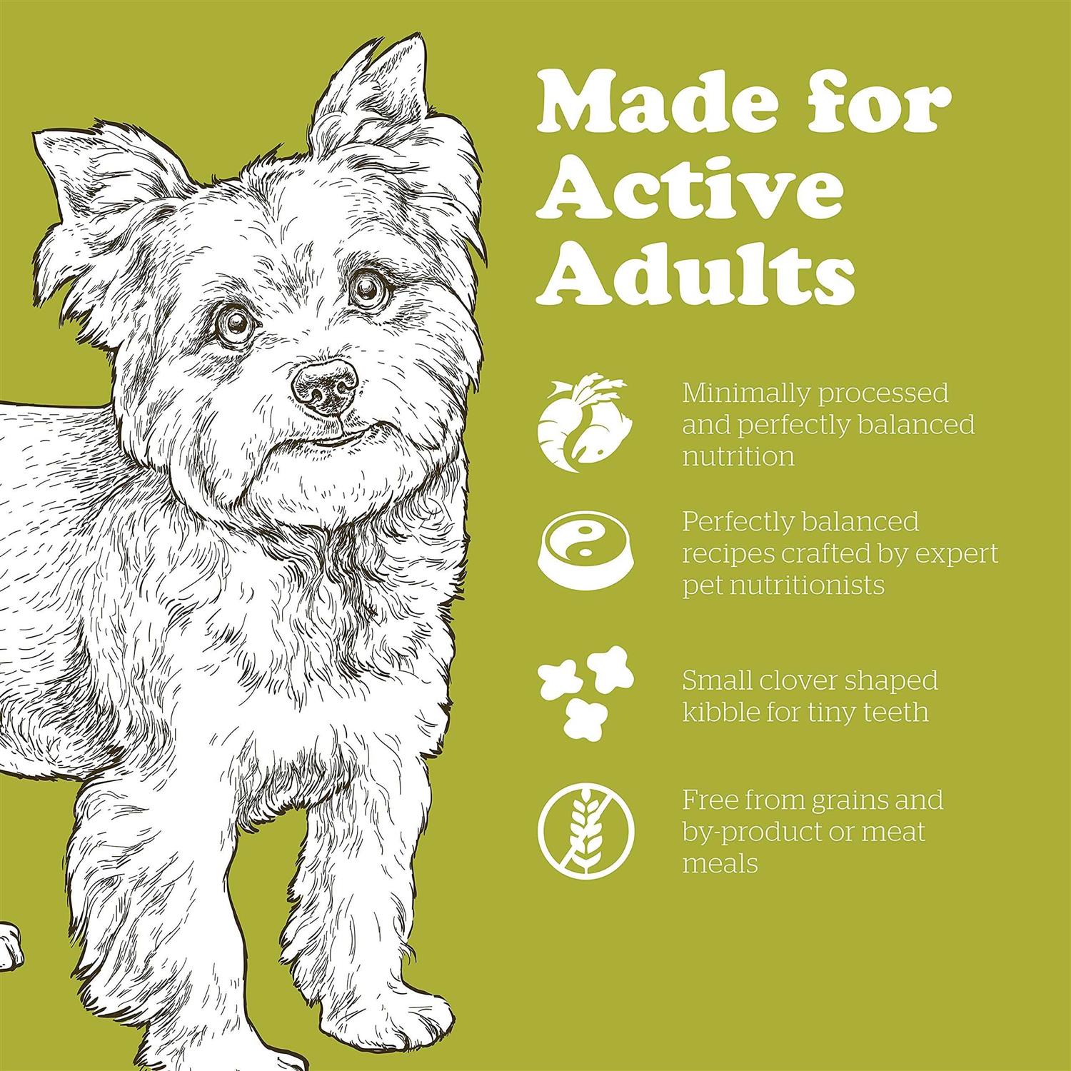 Now Fresh Grain-Free Small Breed adult Recipe Dry Dog Food - Pet Supplies online store