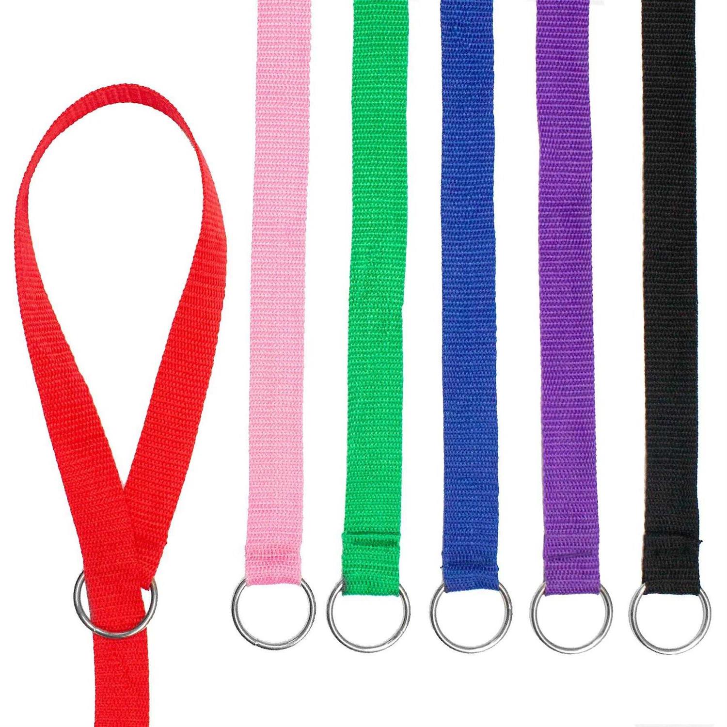 Downtown Pet Supply Dog Slip Lead Dog Leash - Pet Supplies online store