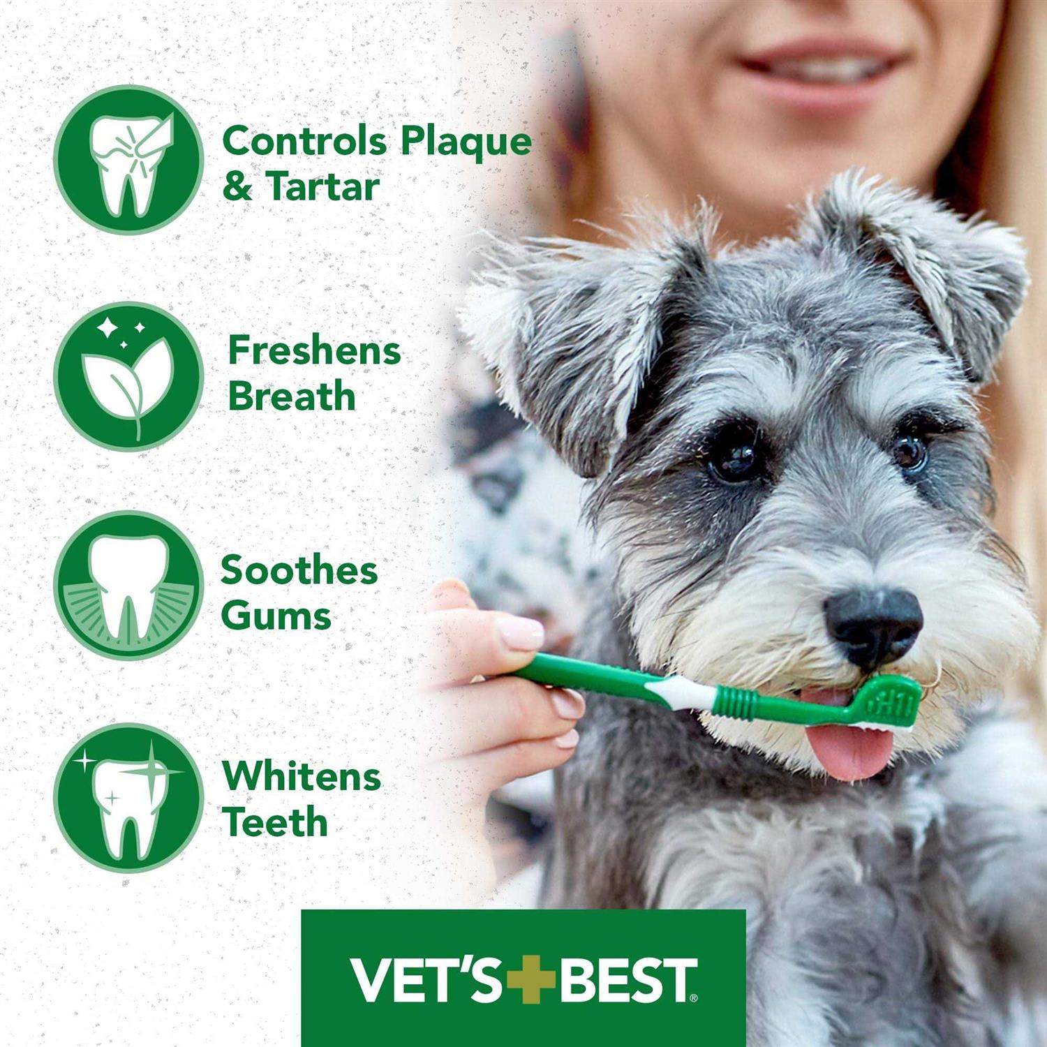 Vet's Best Dental Gel Toothpaste - Pet Supplies online store