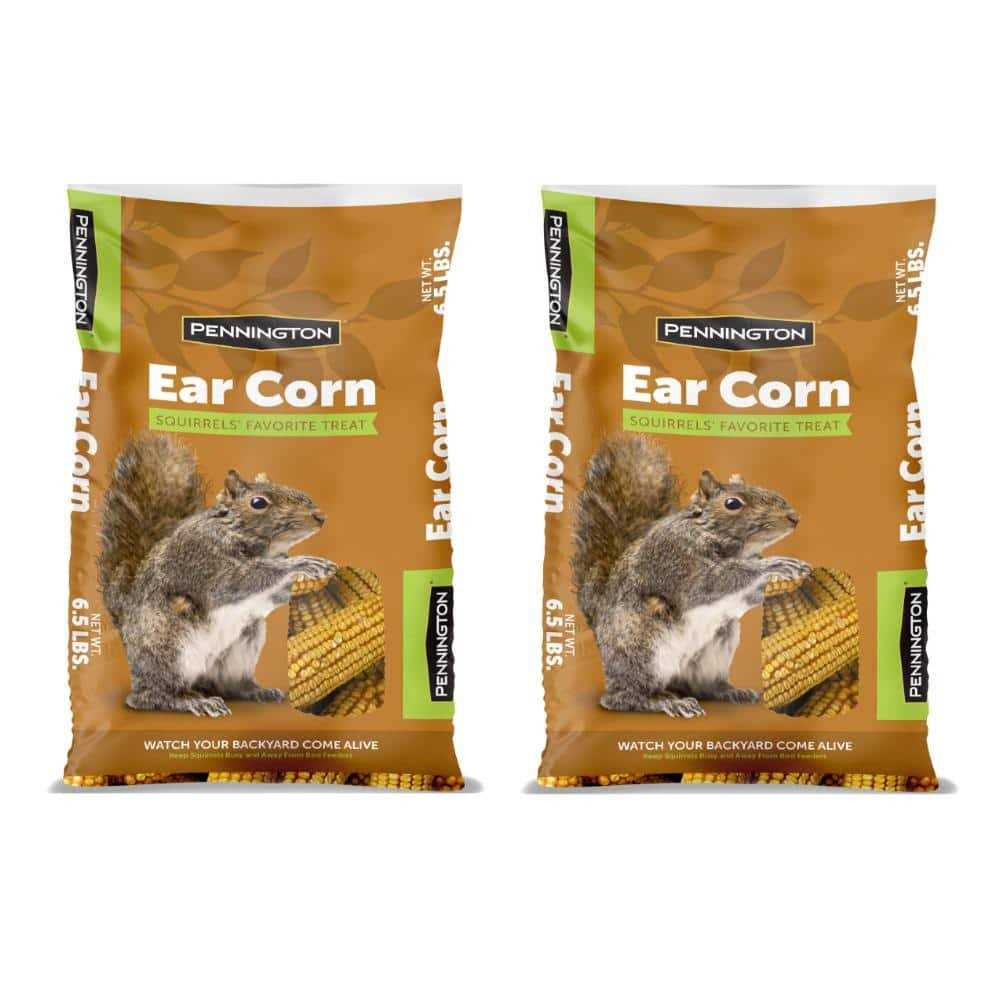 6.5 Lbs. Squirrels Ear Corn Cobs - Pet Supplies online store