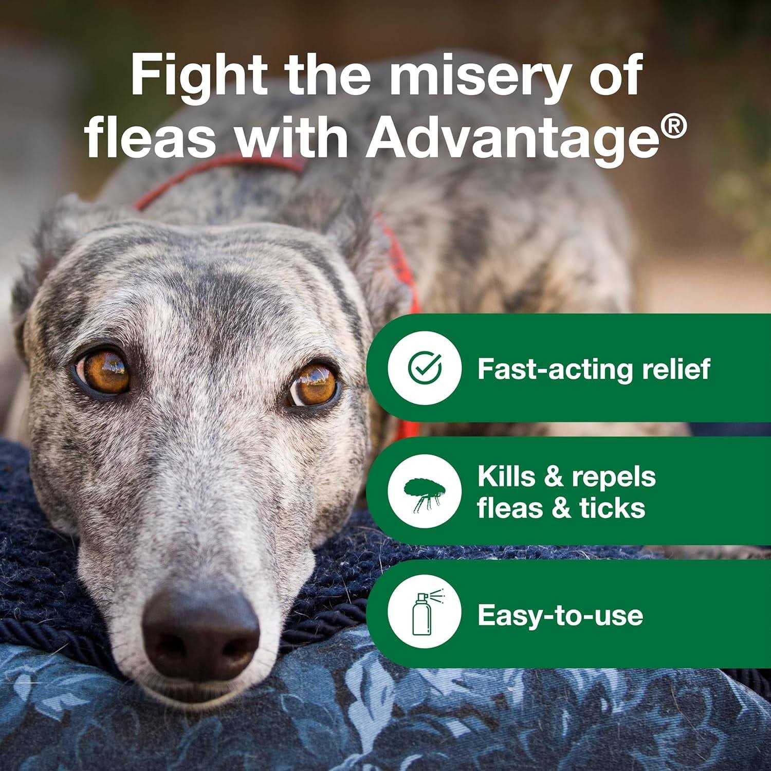 Advantage Flea & Tick Treatment Spray for Dogs - Pet Supplies online store