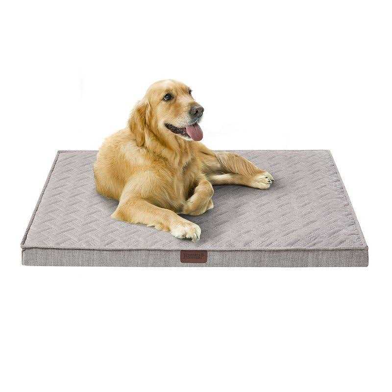 Friends Forever Orthopedic Dog Bed - Pet Supplies online store