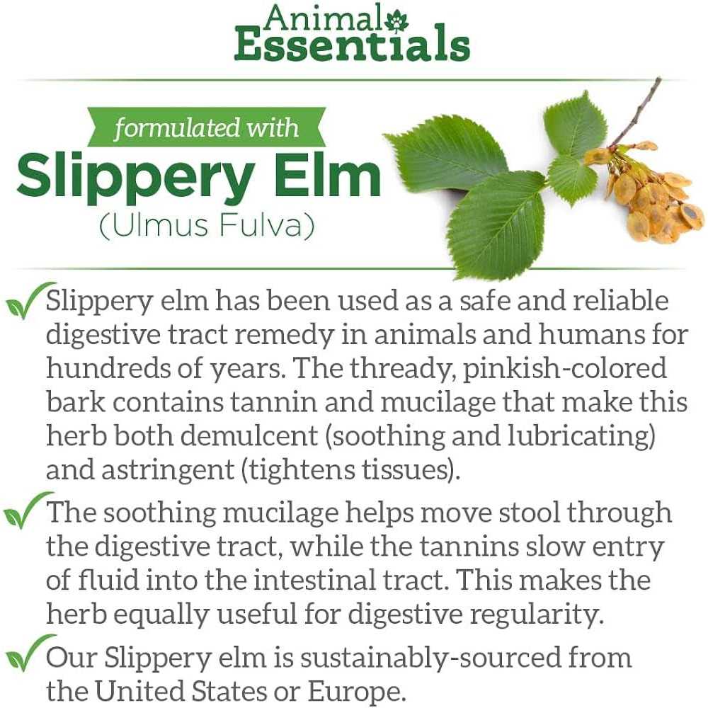 Animal Essentials Colon Rescue - Pet Supplies online store