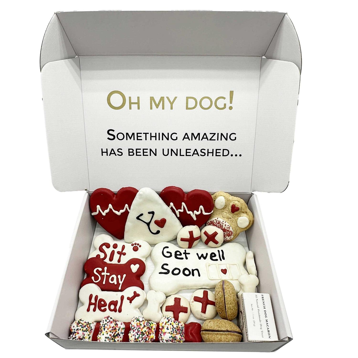 Bonne et Filou Get Well Soon Themed Dog Treats Gift Box - Pet Supplies online store