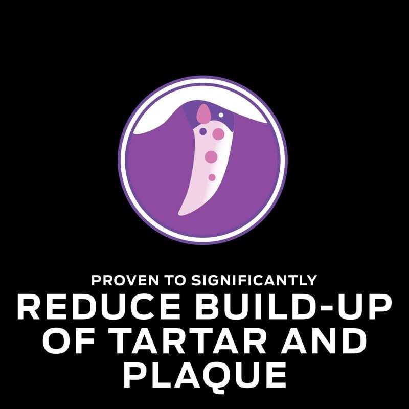 Purina Pro Plan Veterinary Diets DH Dental Health Formula Dry Cat Food - Pet Supplies online store