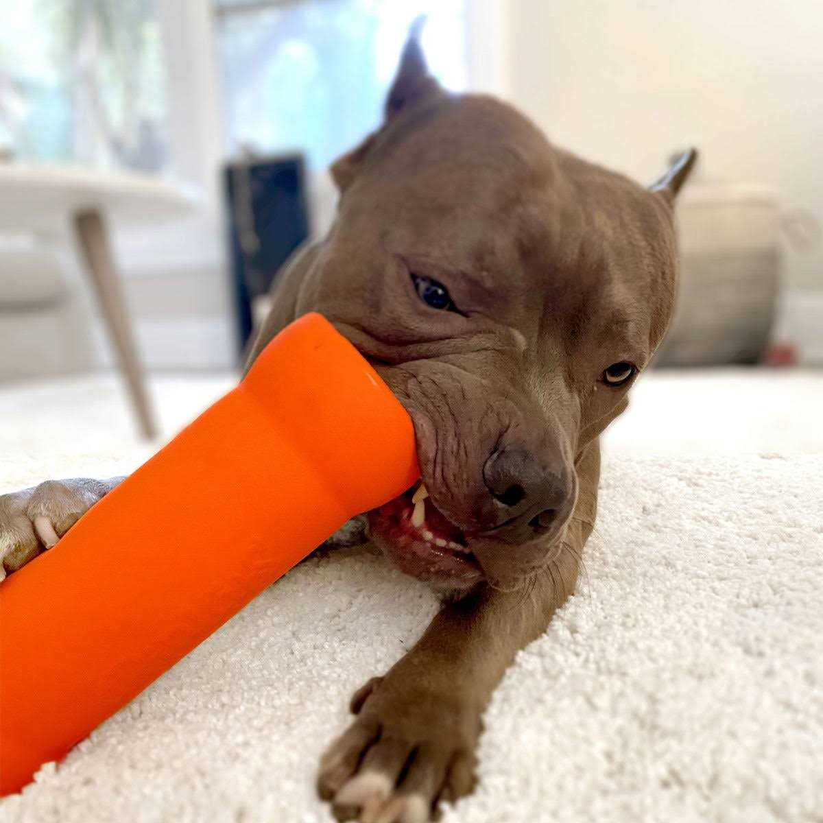 Ruff Dawg Crinkit Dog Toy - Pet Supplies online store