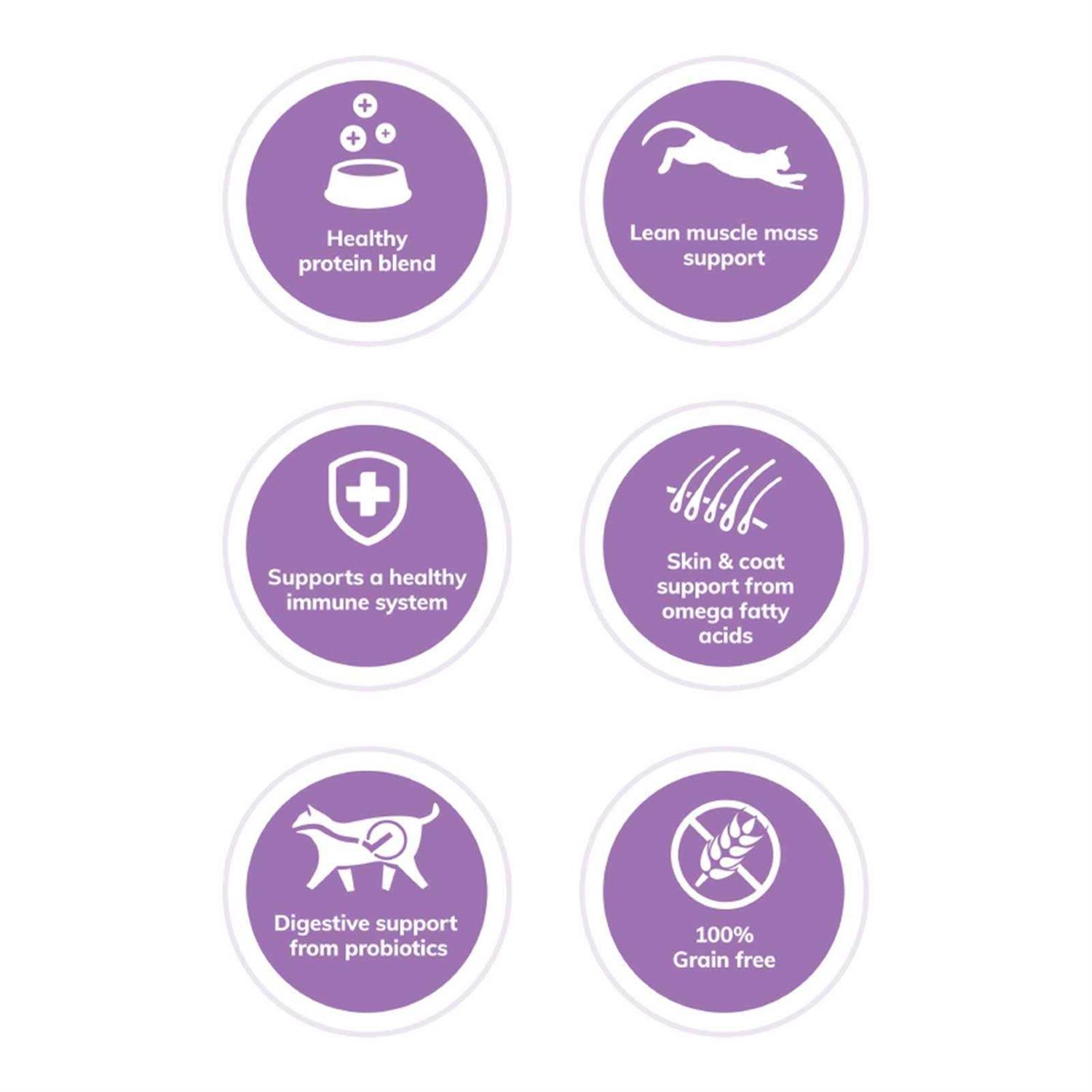 Wellness CORE Grain-Free Turkey Turkey Meal & Duck Dry Cat Food - Pet Supplies online store