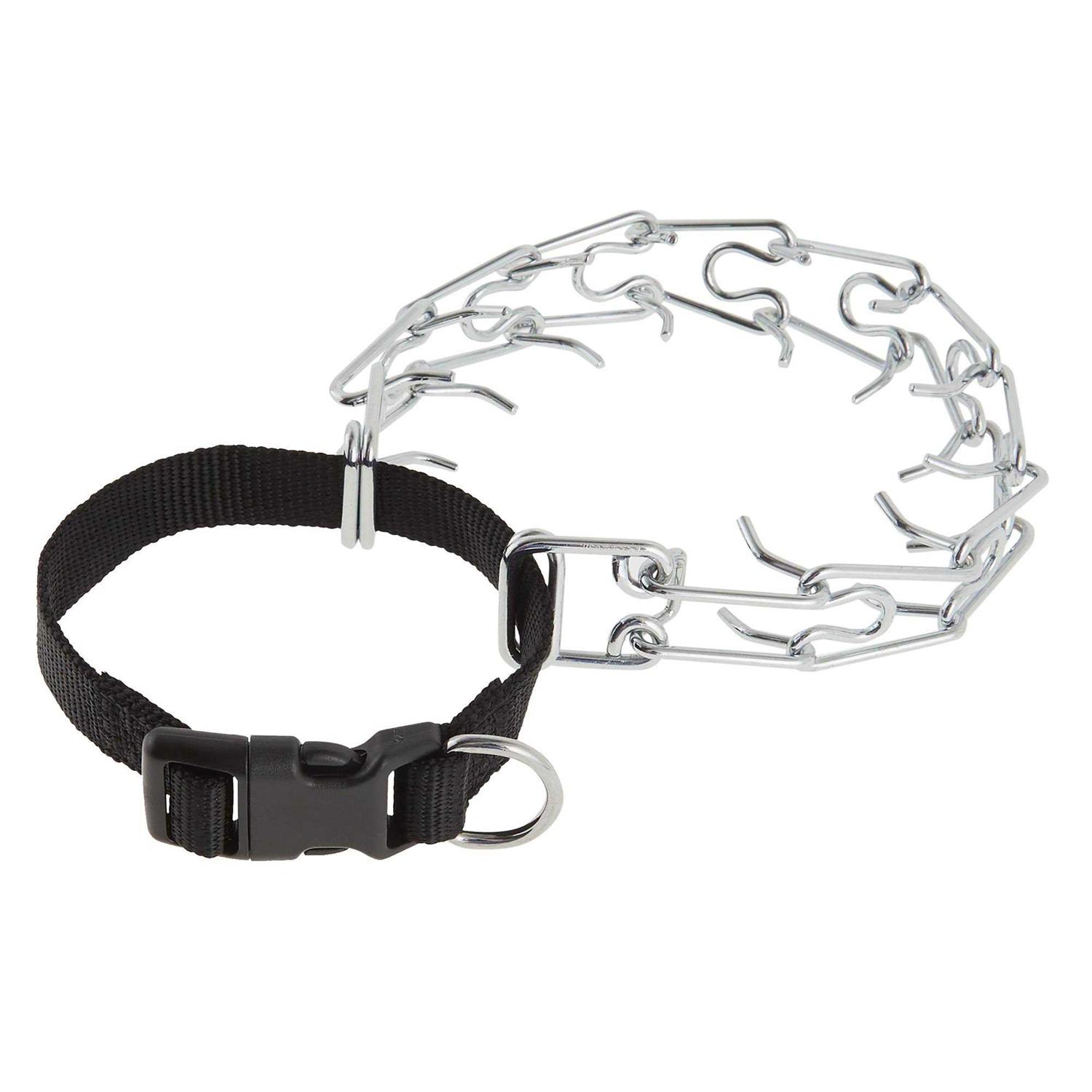 Top Paw Buckle Prong Training Dog Collar - Pet Supplies online store