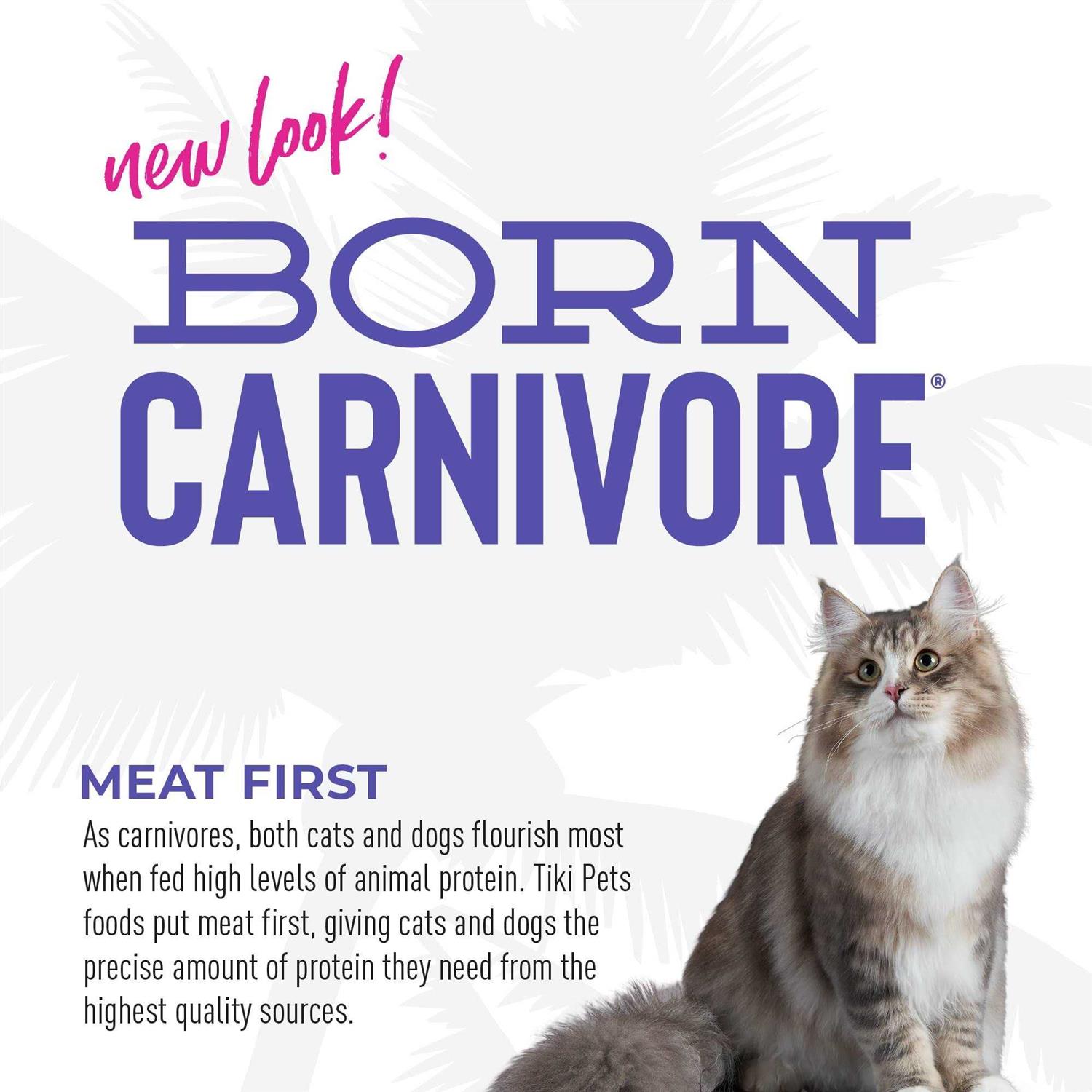 Tiki Cat Born Carnivore Turkey Light Dry Food - Pet Supplies online store