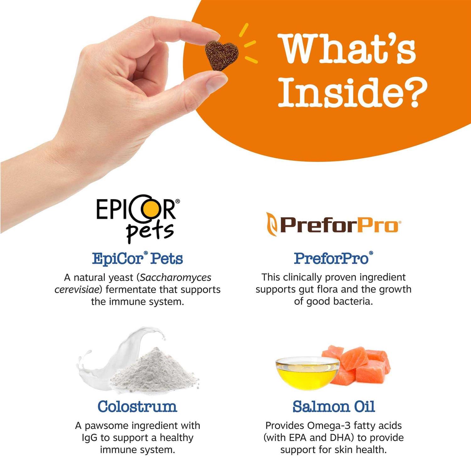 Zesty Paws Senior Advanced Salmon Allergy & Immune Bites for Dogs - Pet Supplies online store