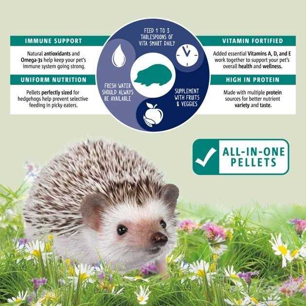 Vitakraft VitaSmart Hedgehog Food - Pet Supplies online store