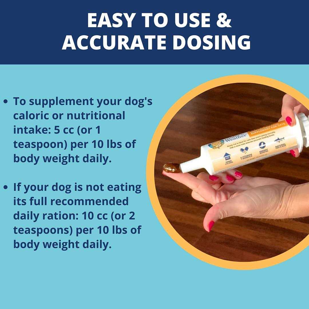 Under the Weather Ready Cal High-Calorie Supplement for Dogs - Pet Supplies online store