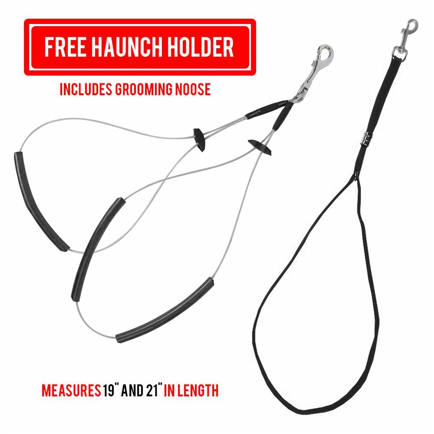 Downtown Pet Supply Dog Grooming Table Arm - Pet Supplies online store