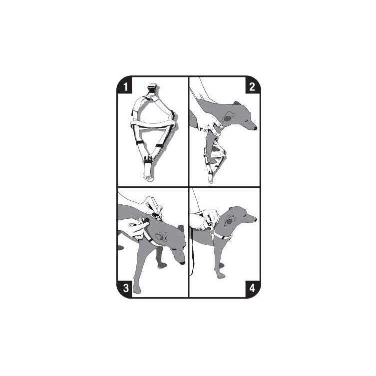 Vibrant Life Step-In Dog Harness - Pet Supplies online store