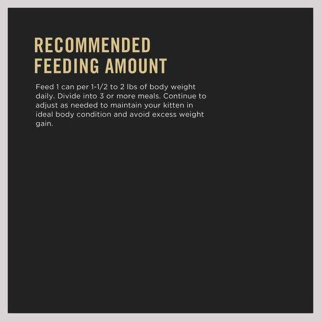 Purina Pro Plan Grain Free Pate Wet Kitten Food - Pet Supplies online store