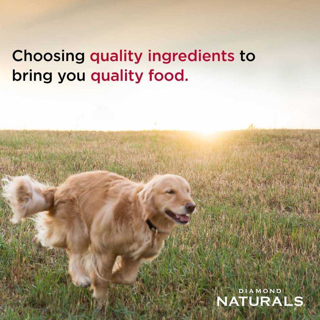 Diamond Naturals Beef Dinner Formula Adult Wet Dog Food - Pet Supplies online store