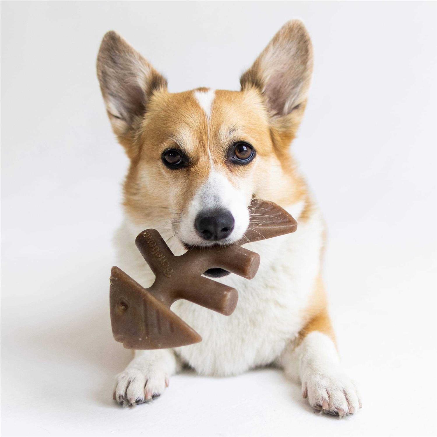 Benebone Fishbone Dog Chew - Pet Supplies online store