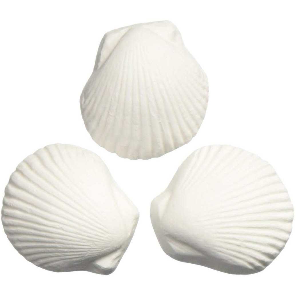 Weco Wonder Shell-Large - Pet Supplies online store