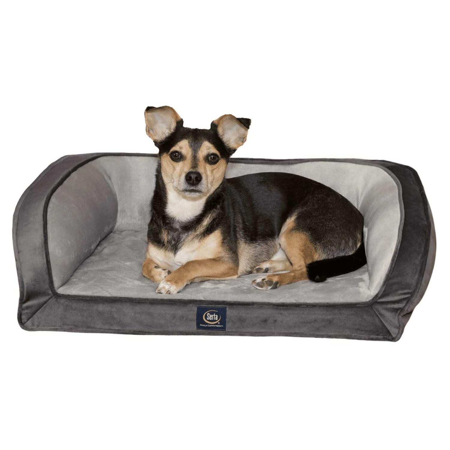 Serta Gel Memory Foam Quilted Ortho Couch Dog Bed - Pet Supplies online store