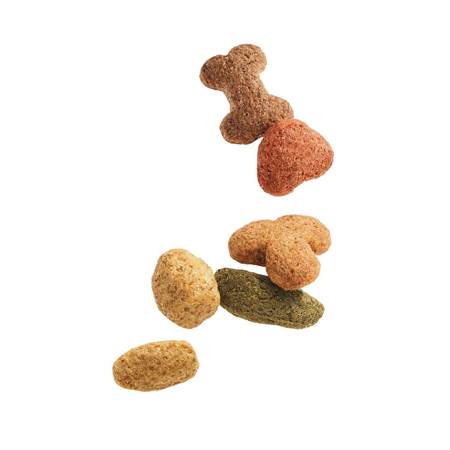 Purina Beneful Healthy Weight Dry Dog Food Chicken - Pet Supplies online store