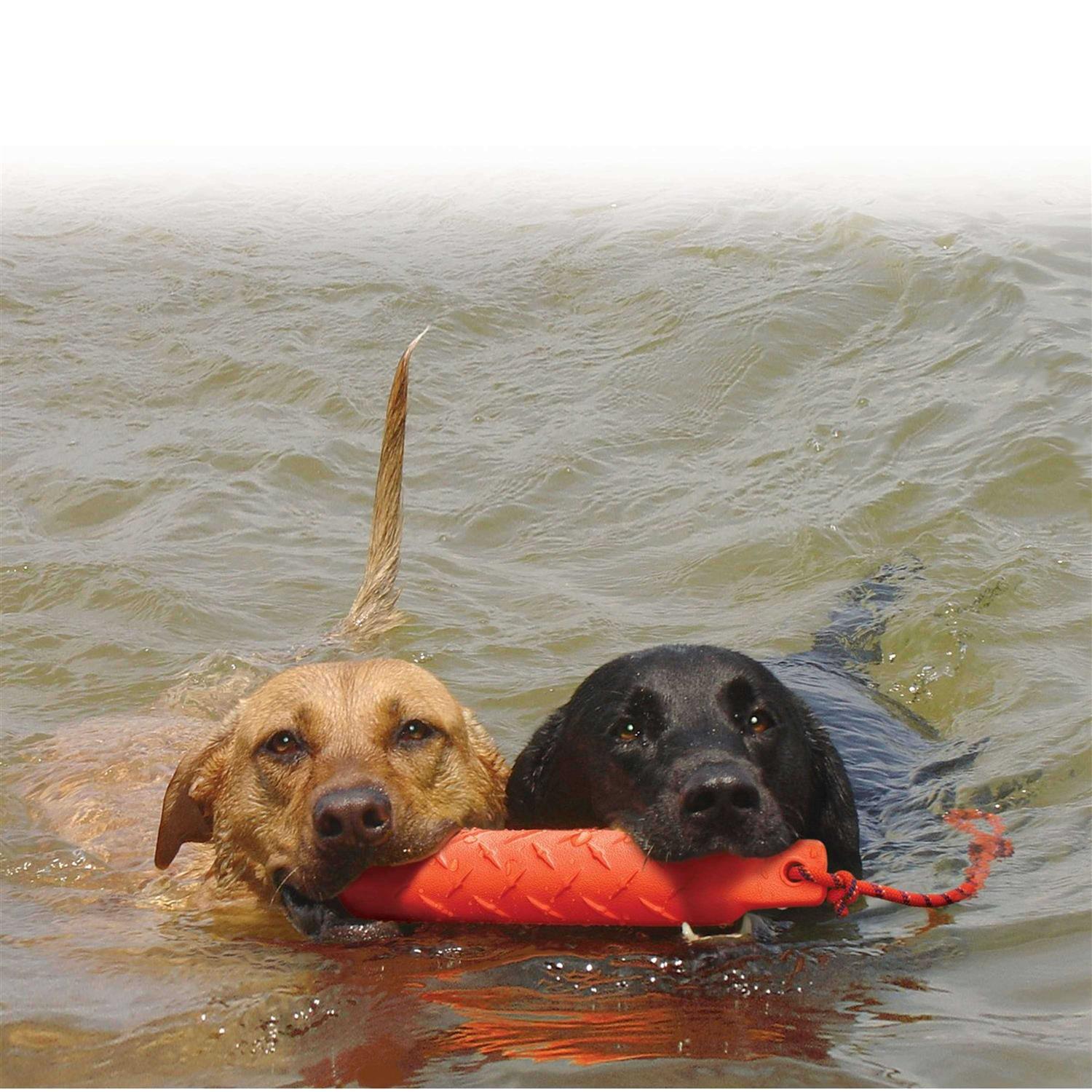 Kong Training Dummy - Pet Supplies online store