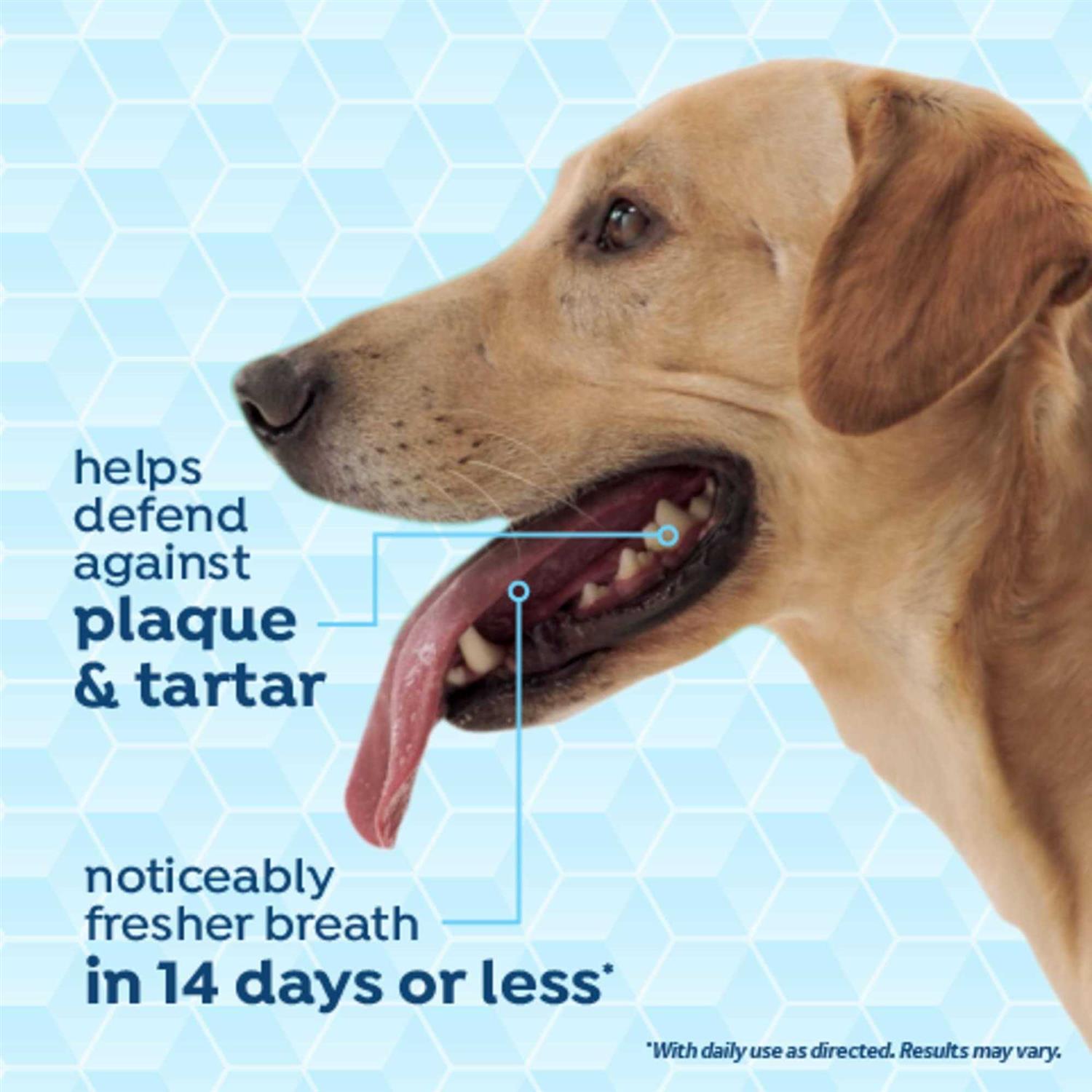 TropiClean Fresh Breath Dog Dental Health Solution - Pet Supplies online store