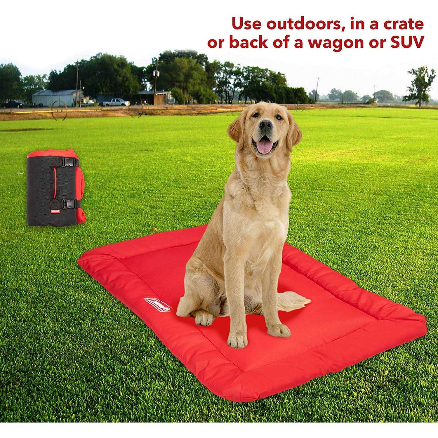 Coleman Roll-Up Travel Dog Bed - Pet Supplies online store