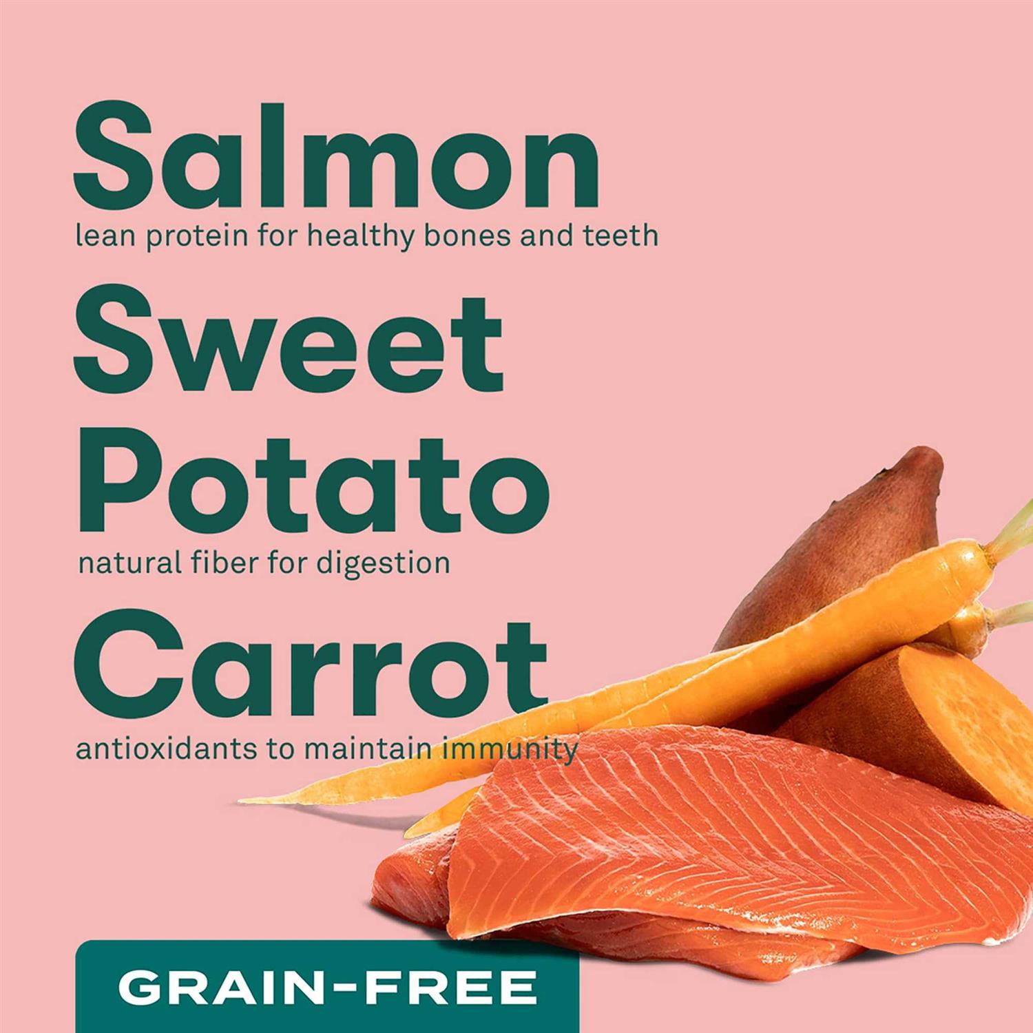 Jinx Salmon Sweet Potato Carrot Grain Free Dog Food - Pet Supplies online store