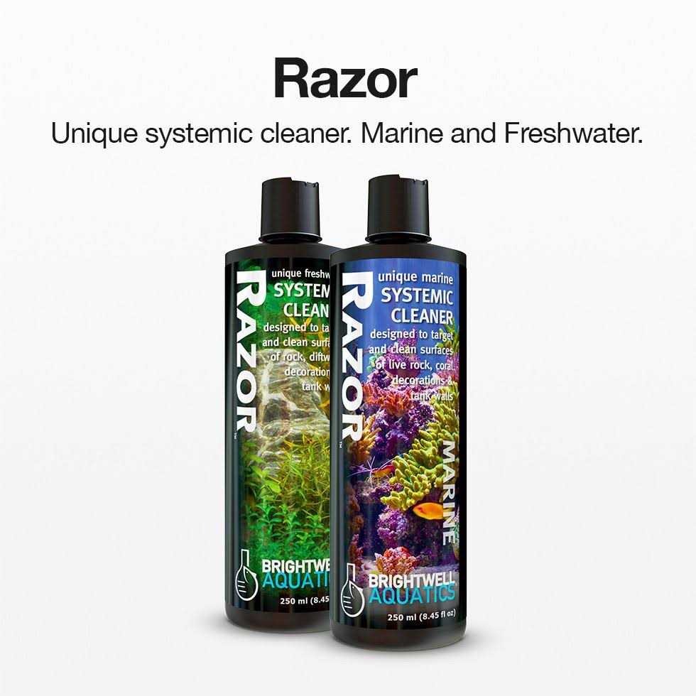 Brightwell Aquatics Razor Marine - Pet Supplies online store