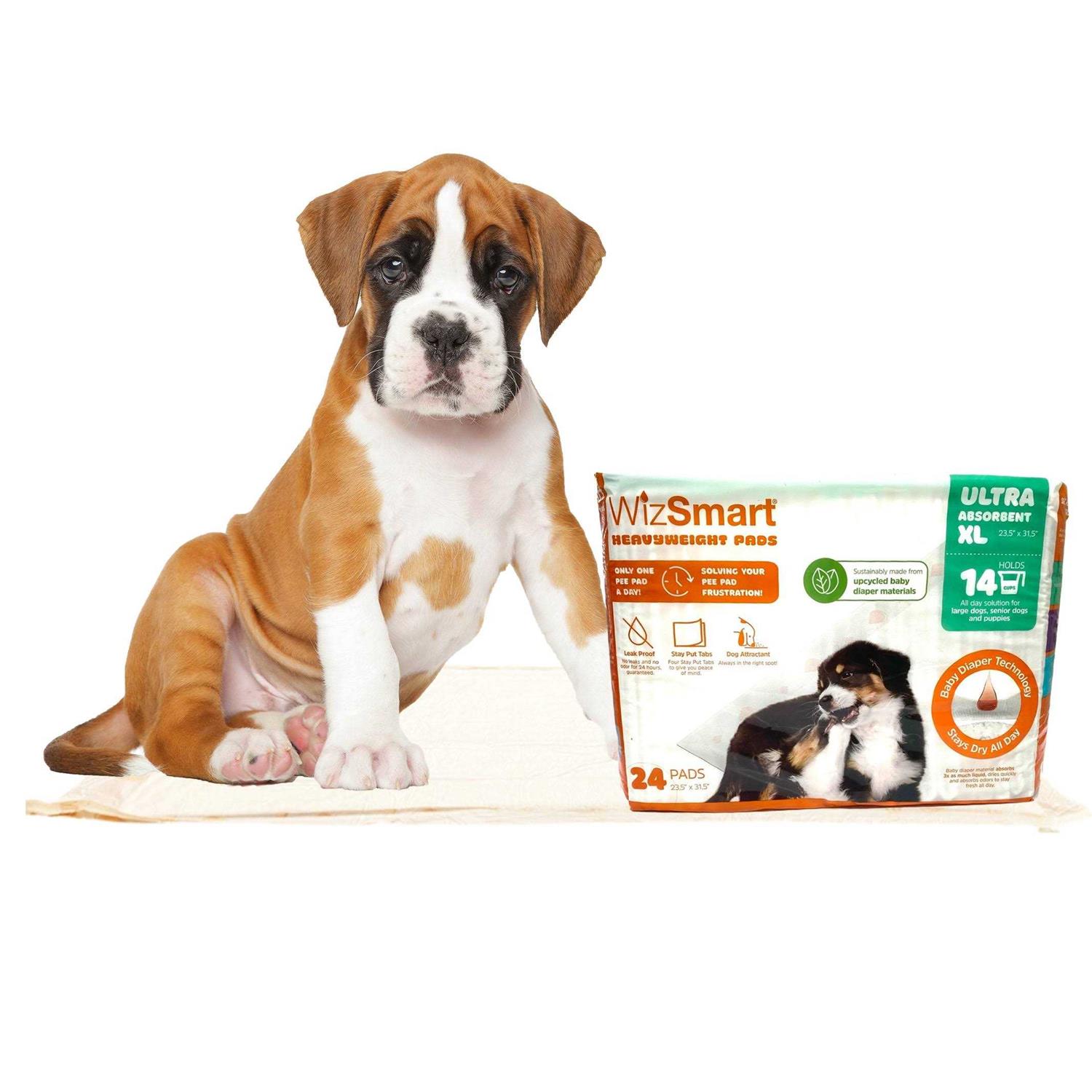 WizSmart All Day Dry Dog Pads - Pet Supplies online store