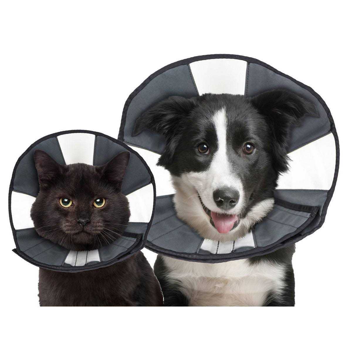 ZenPet Procone Soft Recovery Collar - Pet Supplies online store