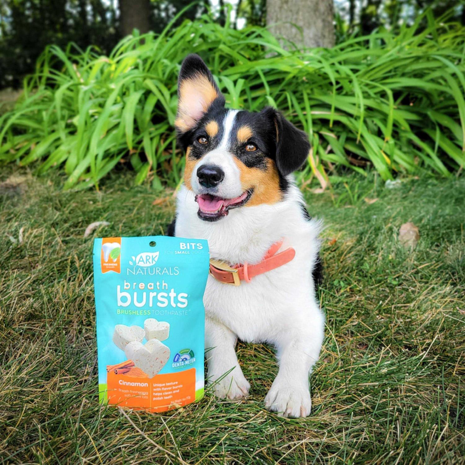 Ark Naturals Breath Bursts Bits Dental Dog Treats - Pet Supplies online store