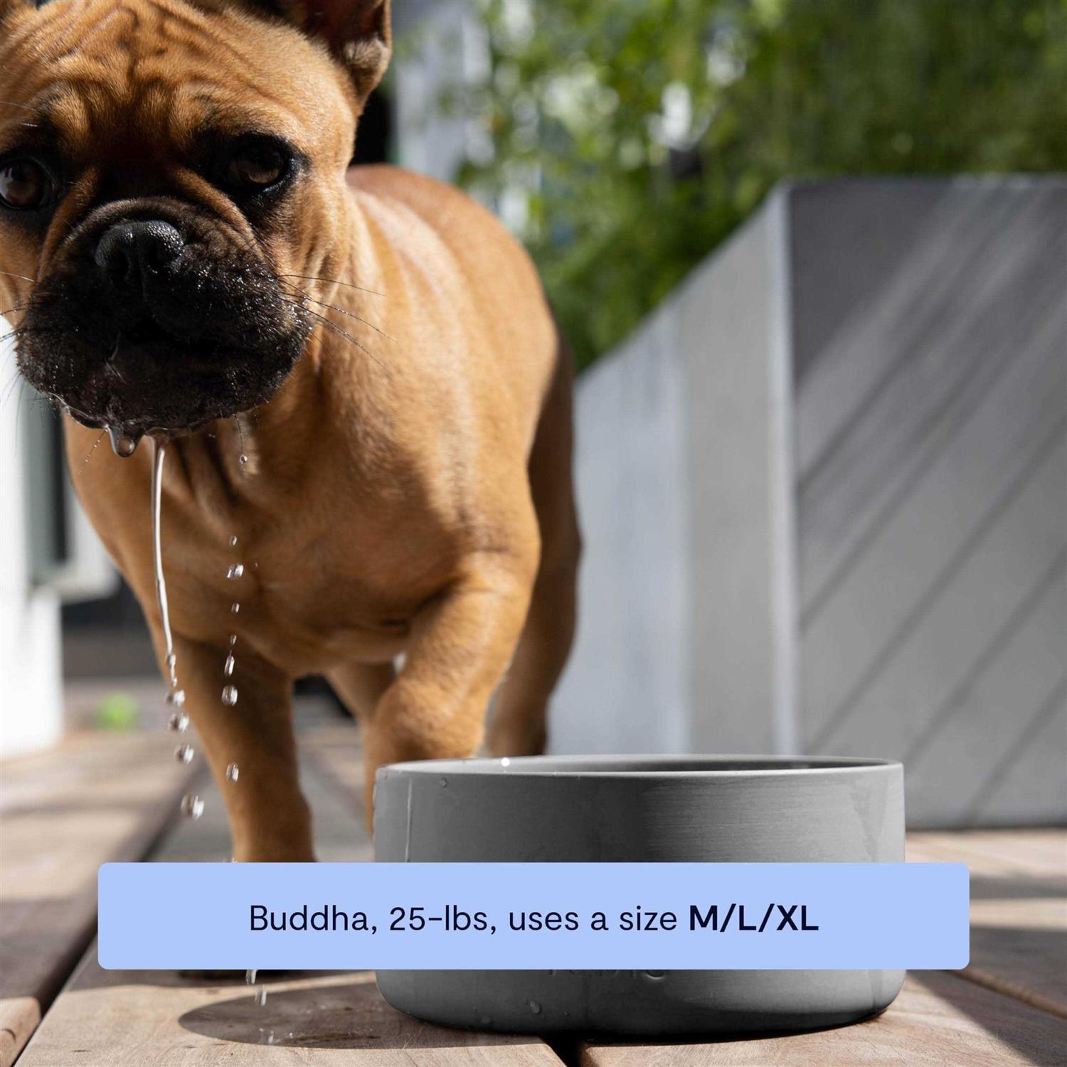 Signature Bowl Fable Pets - Pet Supplies online store