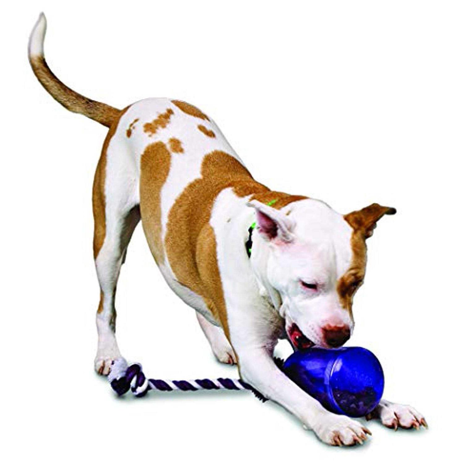 Busy Buddy Tug A Jug - Pet Supplies online store