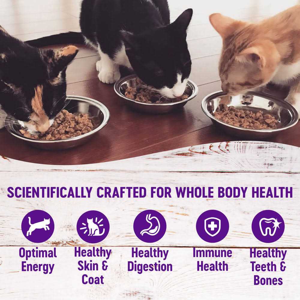 Wellness Healthy Indulgence Shreds Grain Free Wet Cat Food - Pet Supplies online store