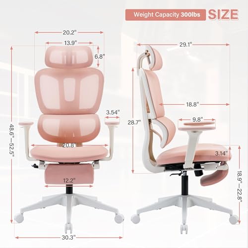 Ergonomic Office Chair with Foot Rest, High Back Computer Office Chair with Dynamic Lumbar Support, 2D Headrest, 4D Armrest, Sponge Seat, Mesh Home Office Desk Chair for Adults, Black