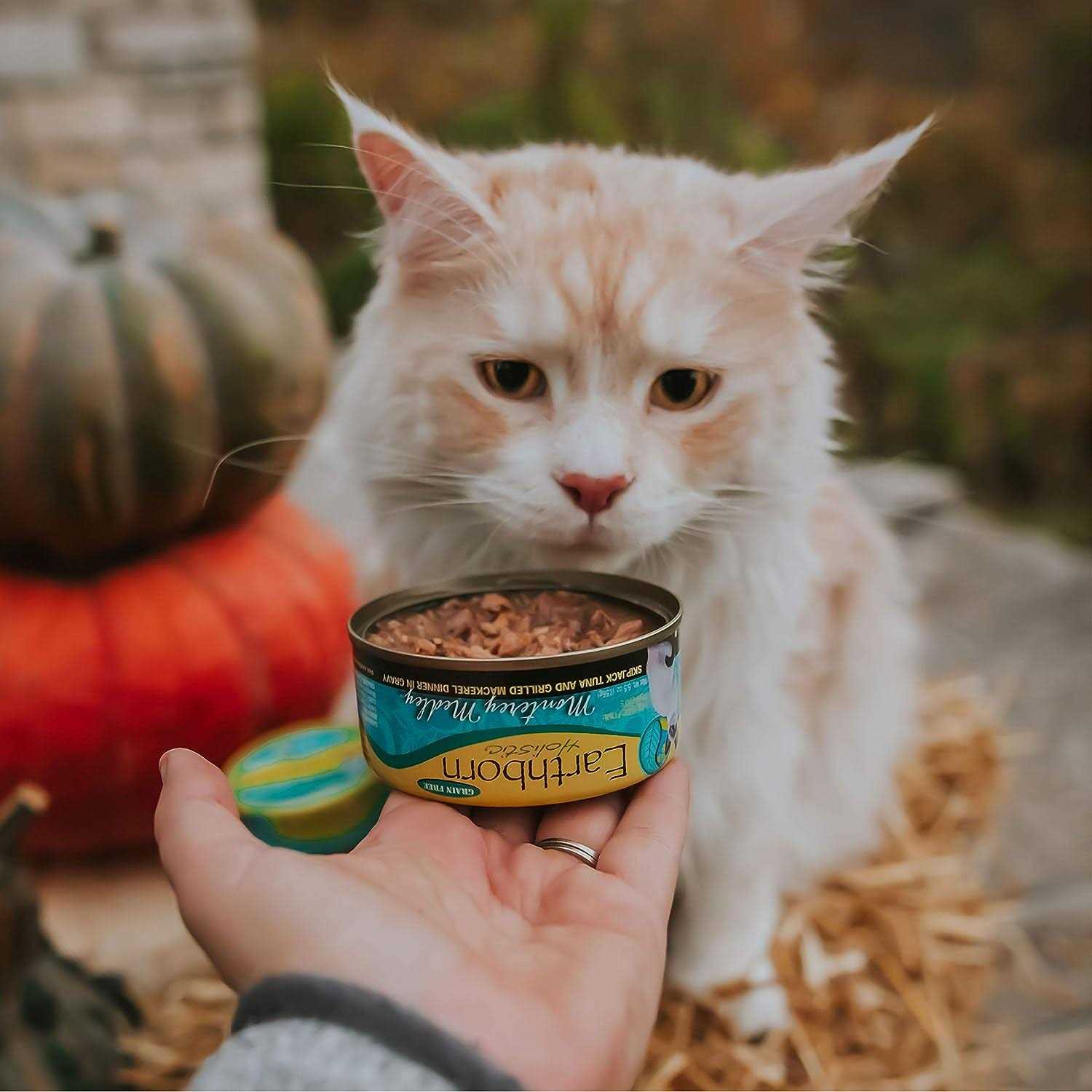 Earthborn Holistic Monterey Medley Cat Food - Pet Supplies online store
