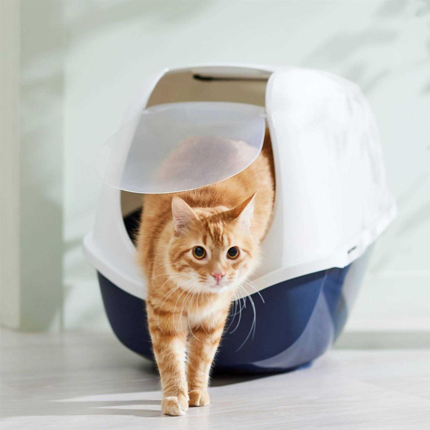 Frisco Hooded Cat Litter Box - Pet Supplies online store