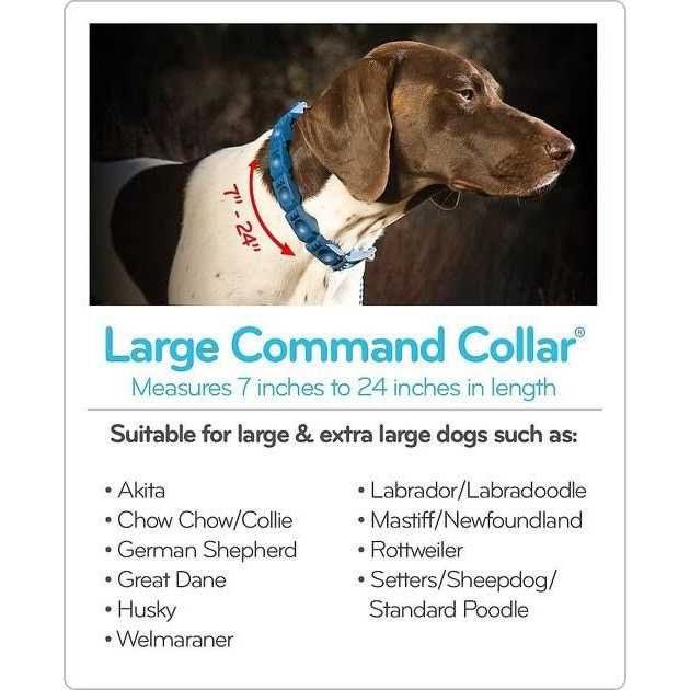 The Perfect Dog Command Training Dog Collar, Medium/Large - Pet Supplies online store