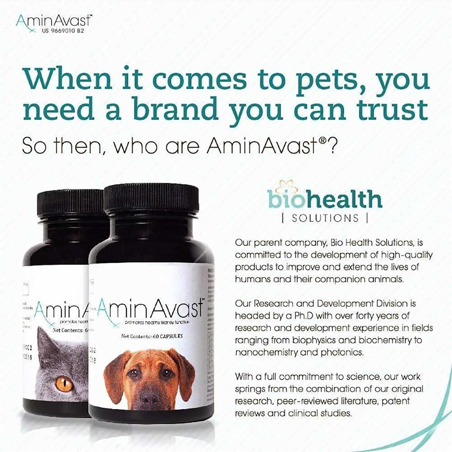 AminAvast Kidney Support for Cats - Pet Supplies online store