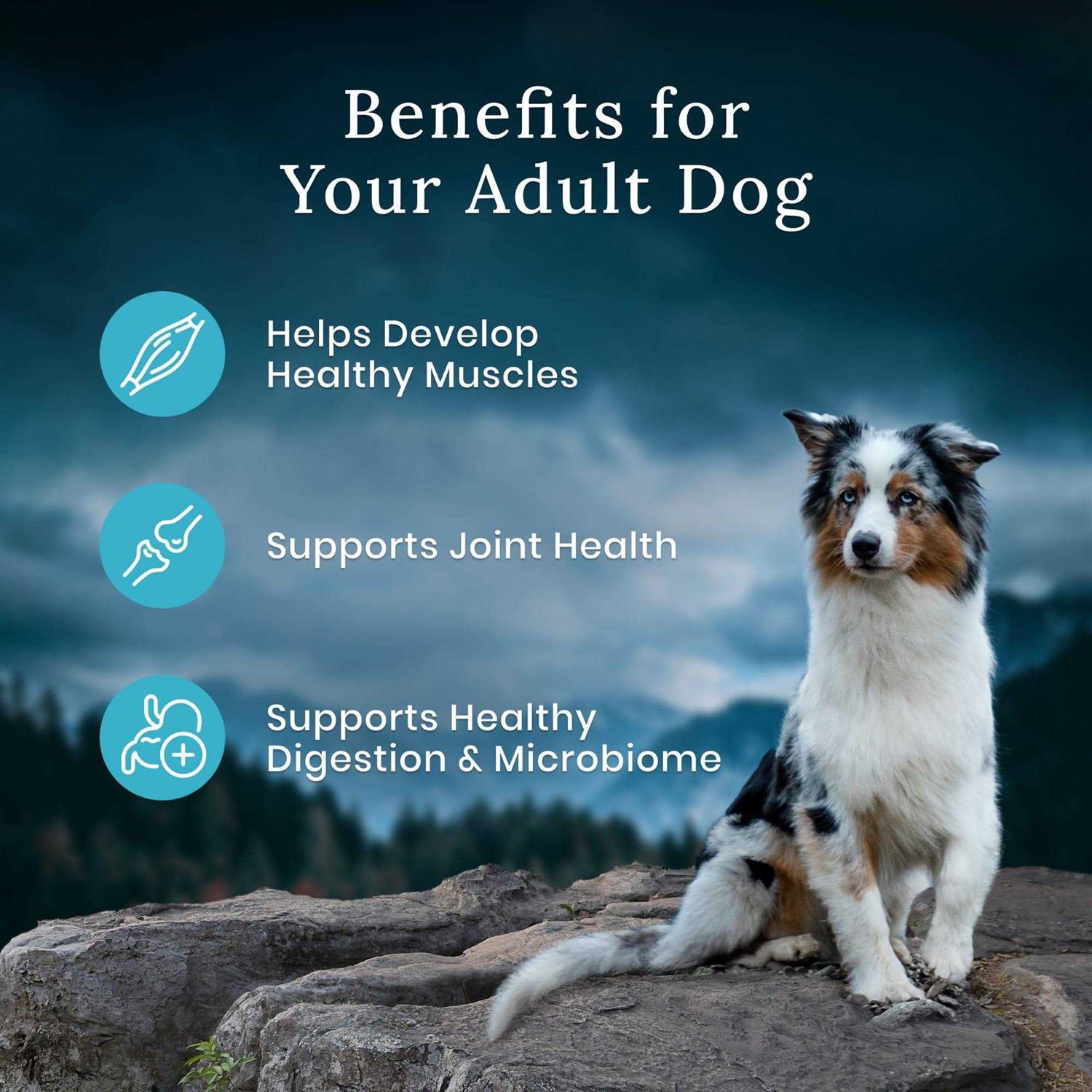 Blue Buffalo Wilderness Chicken Dry Premier Blend Adult Dog Food - Pet Supplies online store