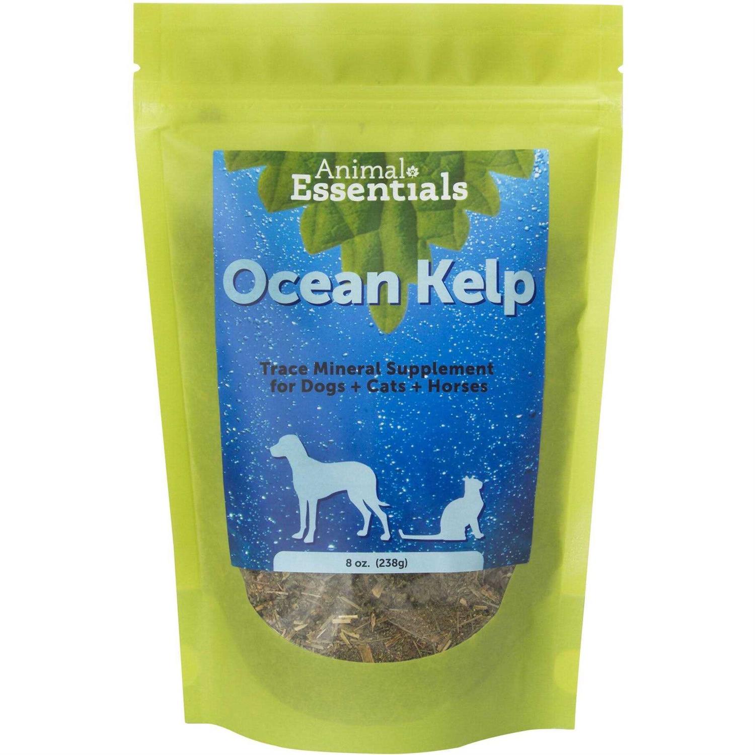 Animal Essentials Organic Ocean Kelp - Pet Supplies online store