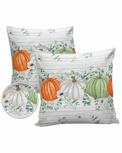 Outdoor Pillow Covers Waterproof, Orange Green White Pumpkins Throw Pillowcase Decorative Cover, Rustic Eucalyptus Wooden Garden Cushion Case Set of 2 for Sofa, Couch, Tent, Patio, 16