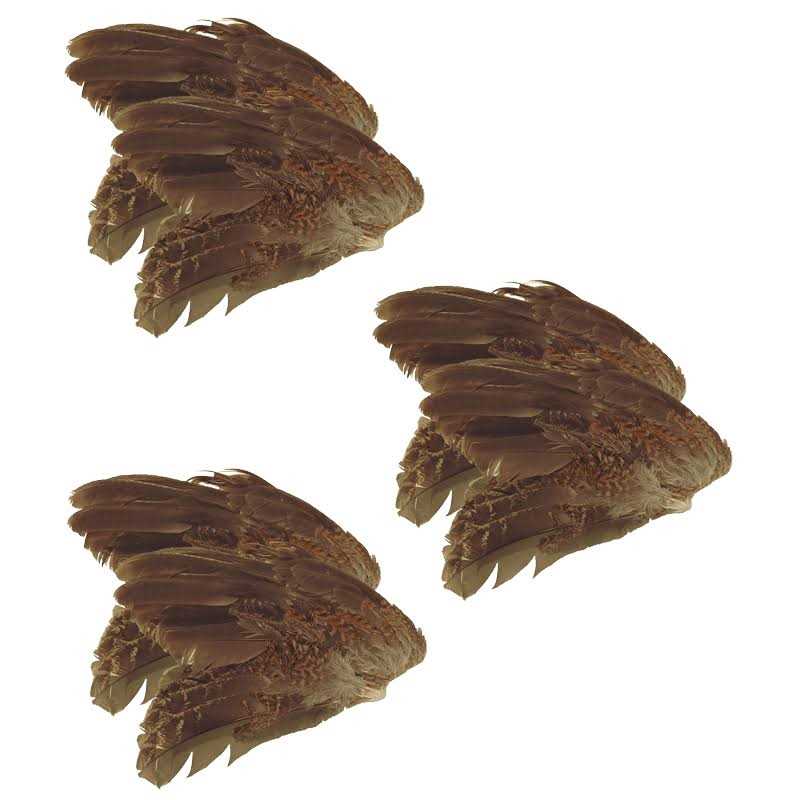 Classic T Designs Quail Wings 6 Pk - Pet Supplies online store