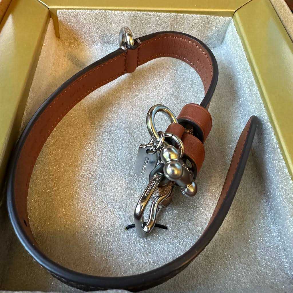 Coach Outlet Boxed Pet Collar In Signature Canvas - Pet Supplies online store