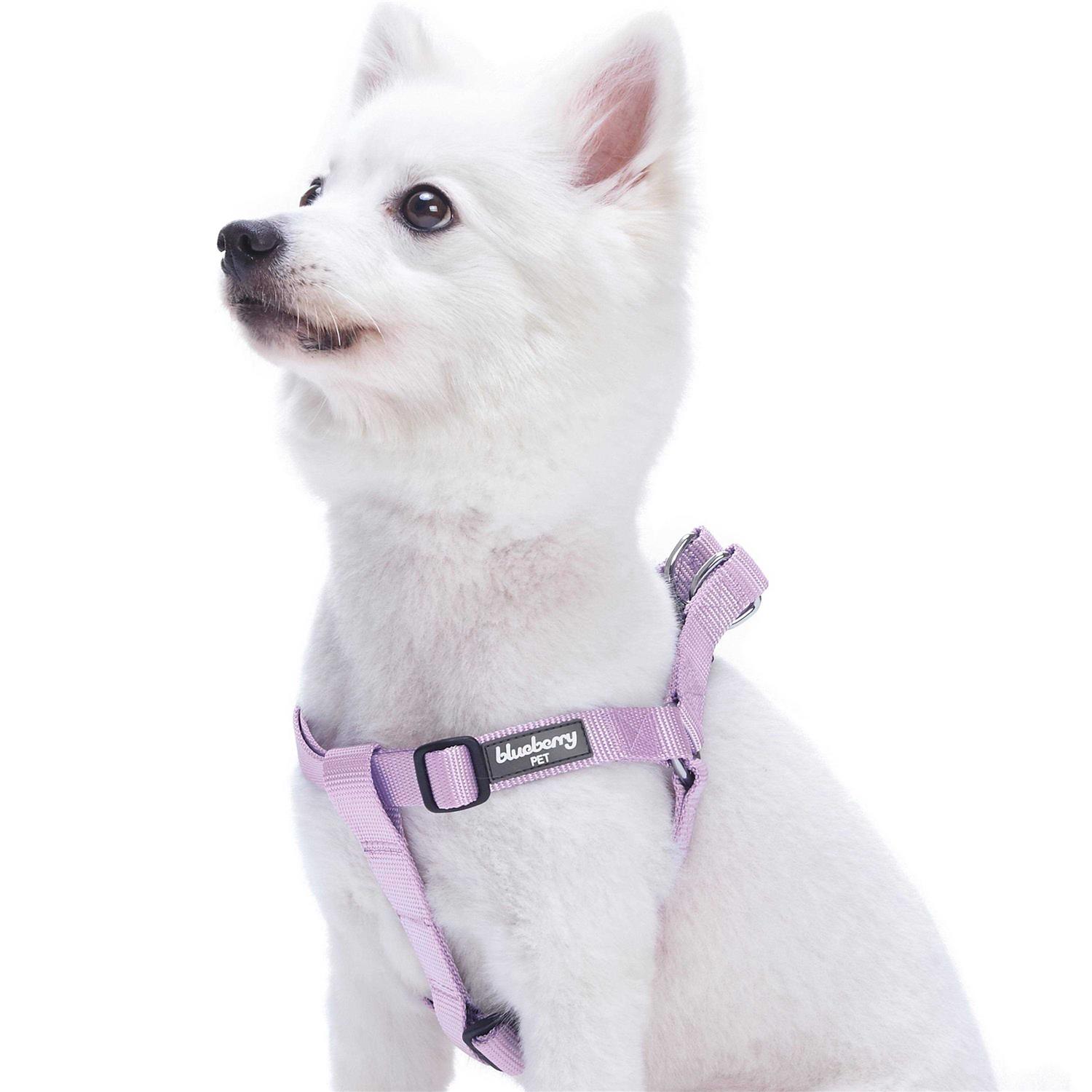 Blueberry Pet Essentials Classic Durable Solid Nylon Step-In Dog Harness - Pet Supplies online store